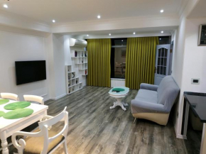 Bulvarda view apartment